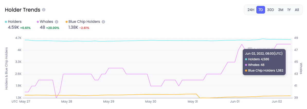 Holder trends in Goblintown NFT collection